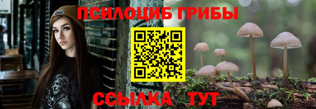 Печора  Псилоцибиновые грибы мицелий  Вход с VPN 