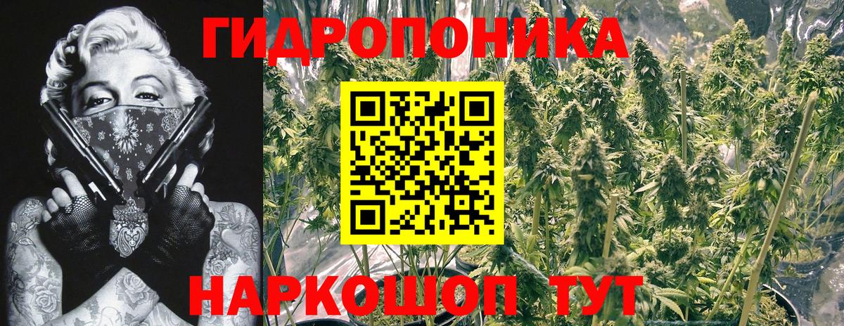 Канабис гибрид Печора